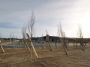 Aménagement de la Zone de Loisirs du Bois Noir à LANDERNEAU, ancien site industriel d’environ 22 000 m² à proximité de la rivière l’Elorn. Création d’un...
